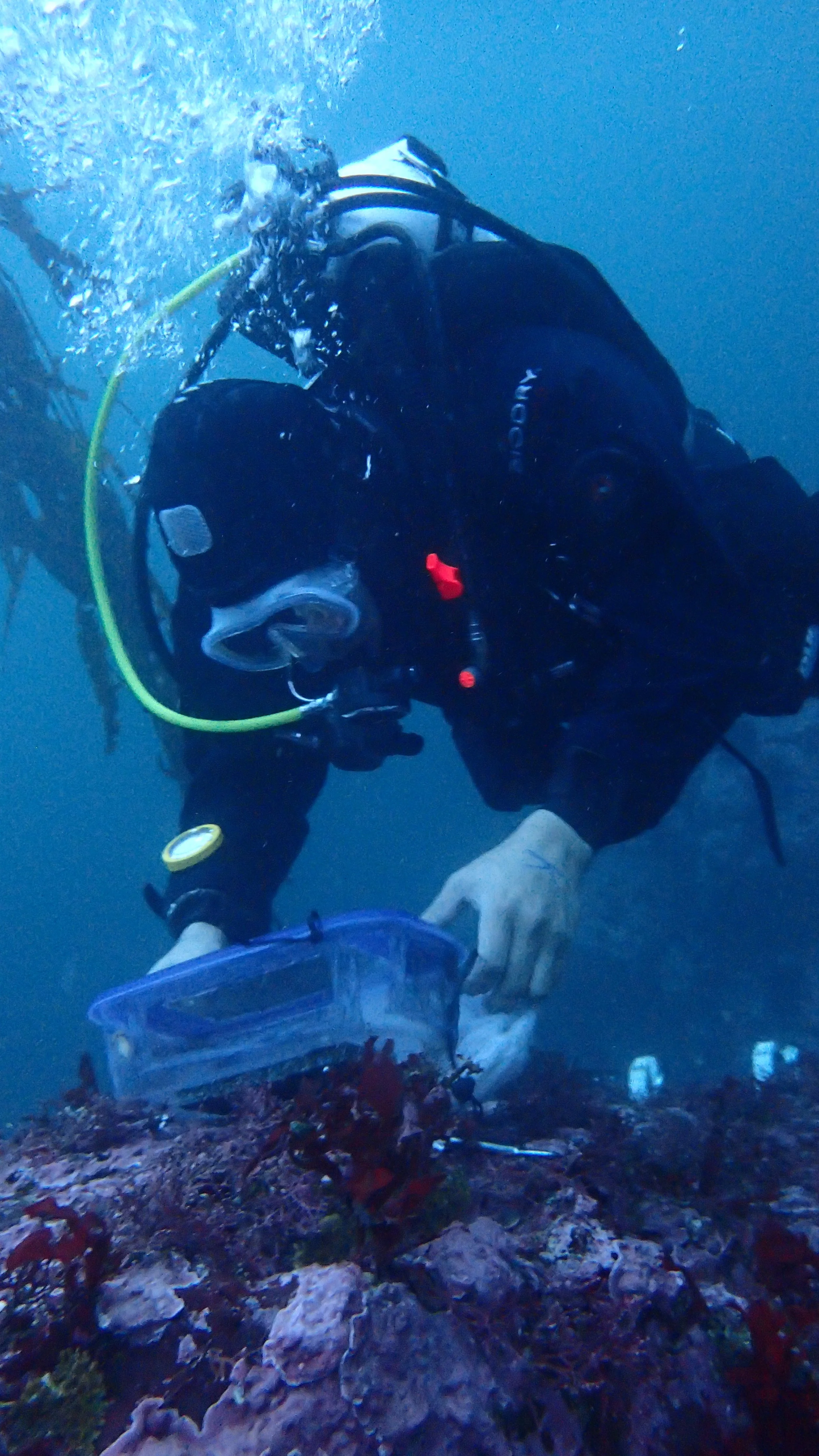 Grazing experiment winter 2019.JPG