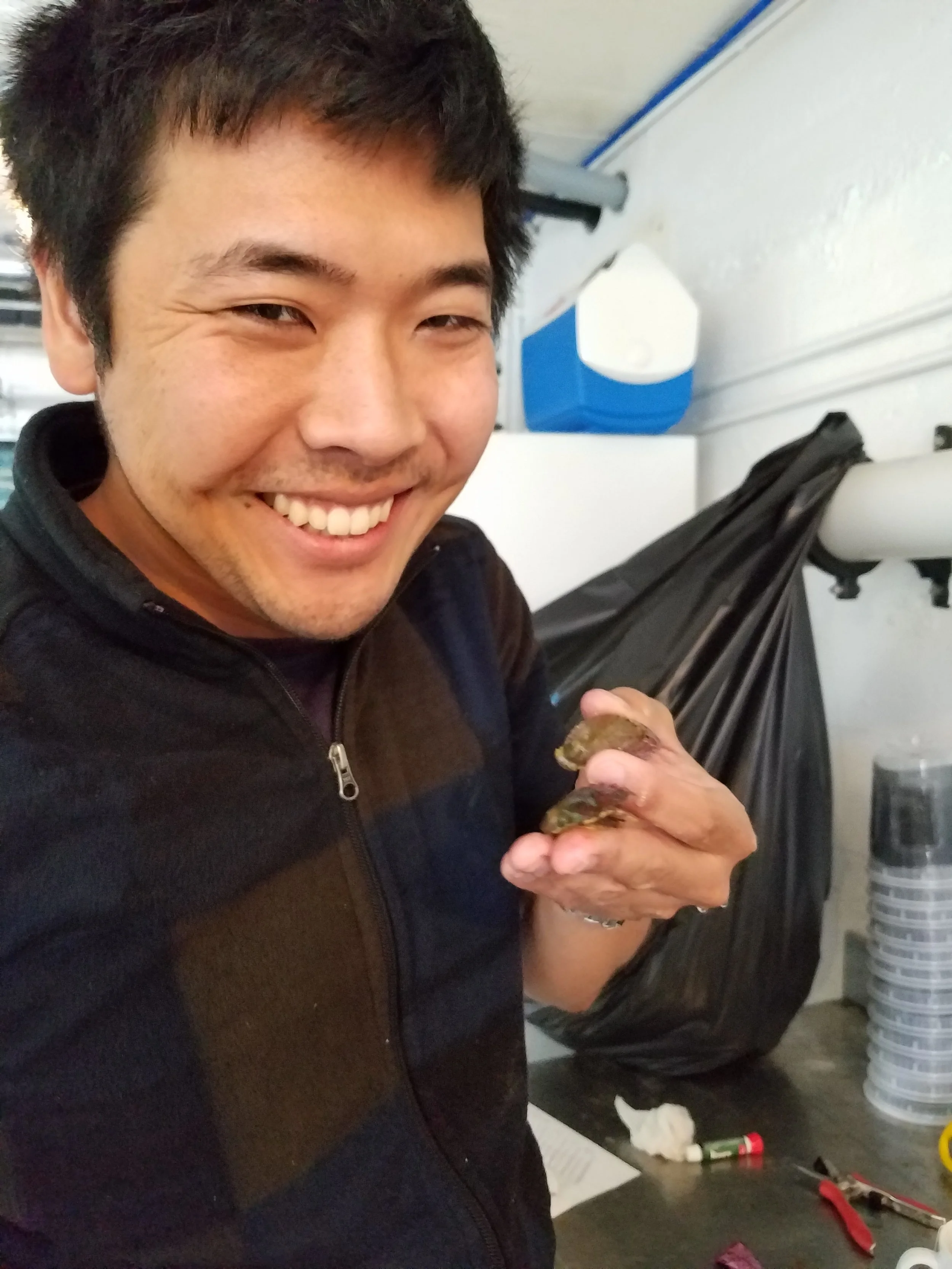 Abalone for respirometry summer 2018 Sitka.jpg