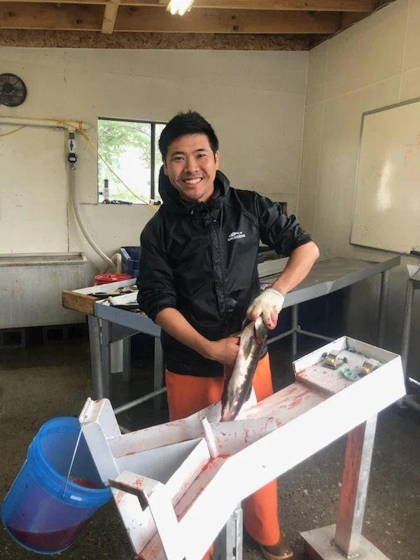 Working with the hatchery Sitka Summer 2018.JPG