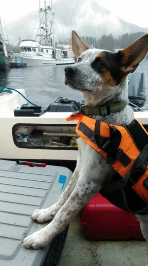 Kiska