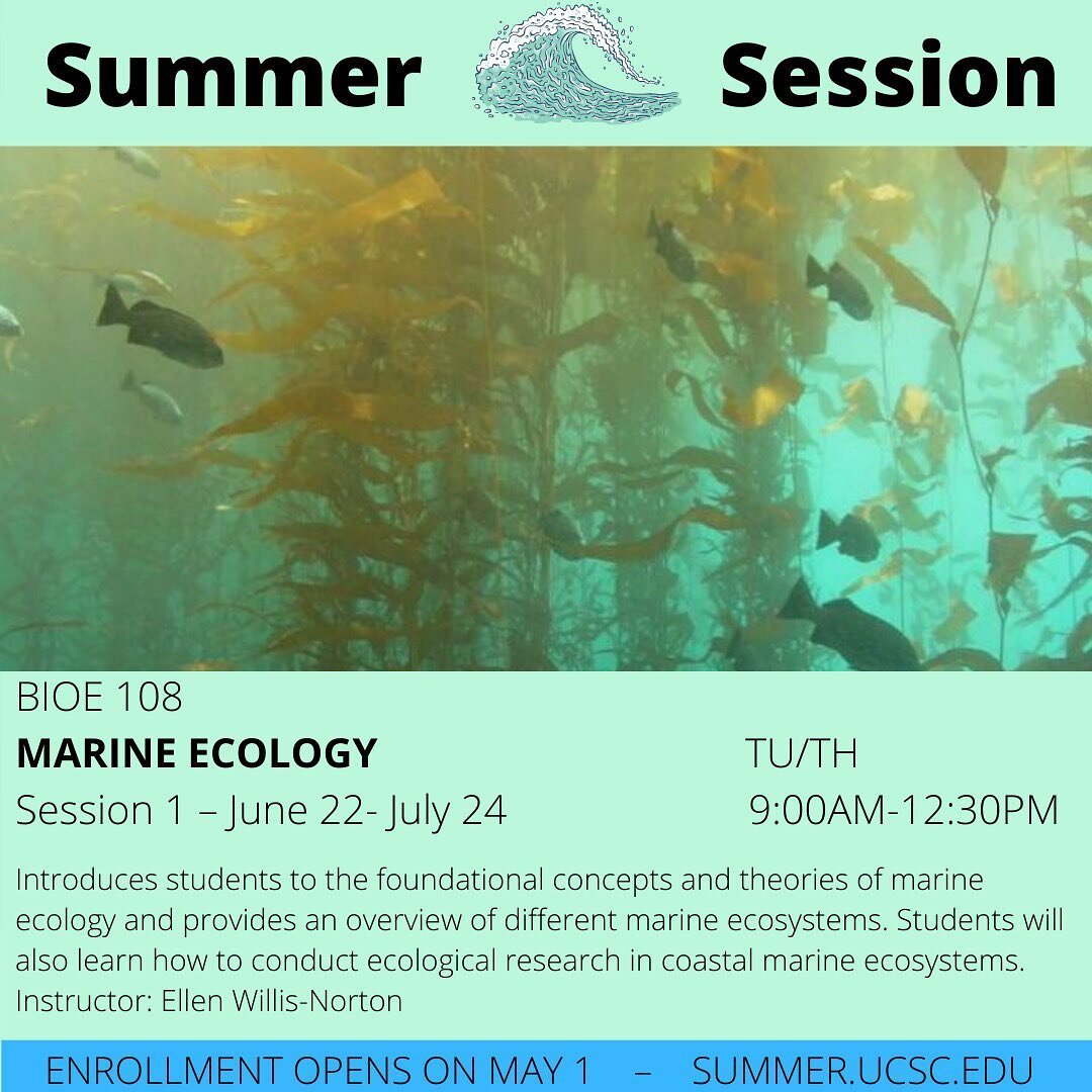 WHALE hello! Do you need KELP? Find your Porpoise this summer and make learning a breeze with marine ecology! Take EEB&rsquo;s 5-week course to learn all about marine ecosystems - kelp forest, coral reef, intertidal, pelagic, deep sea habitats and mo