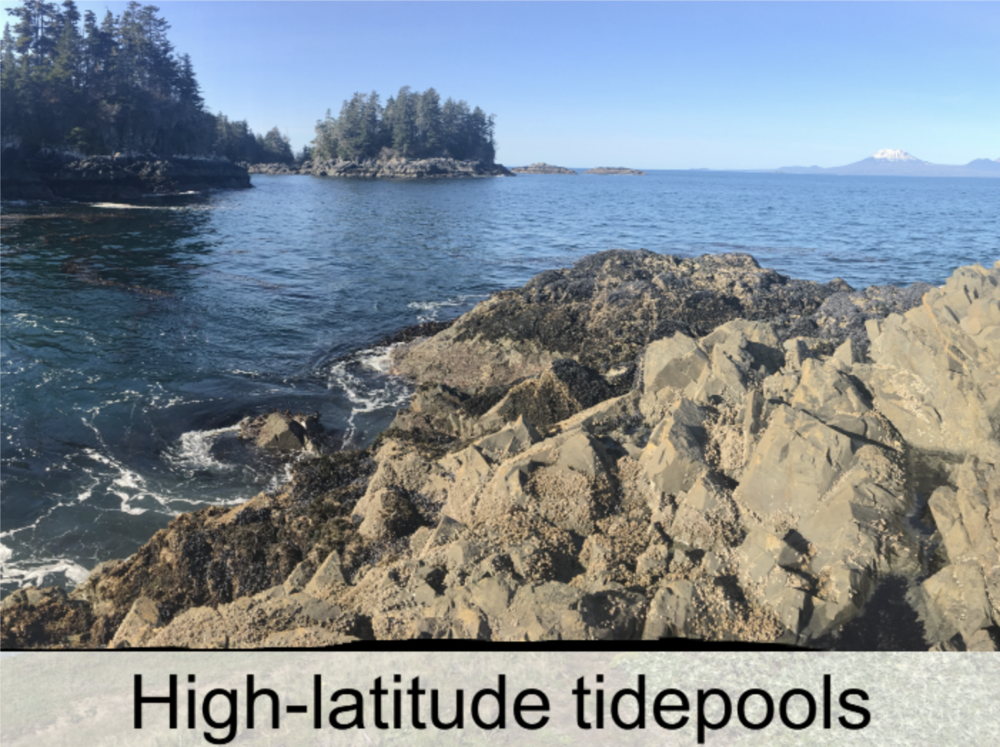 HighLatTidepools.png