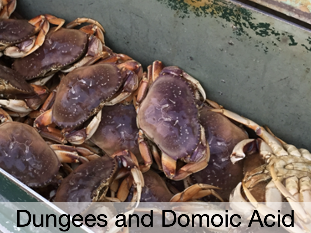 Screenshot 2025-09-23 at 1.26.01 PM.png