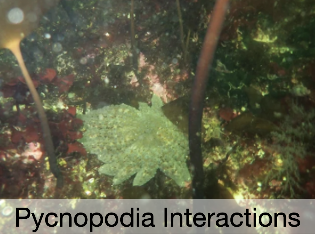 Screenshot 2025-09-23 at 1.24.20 PM.png