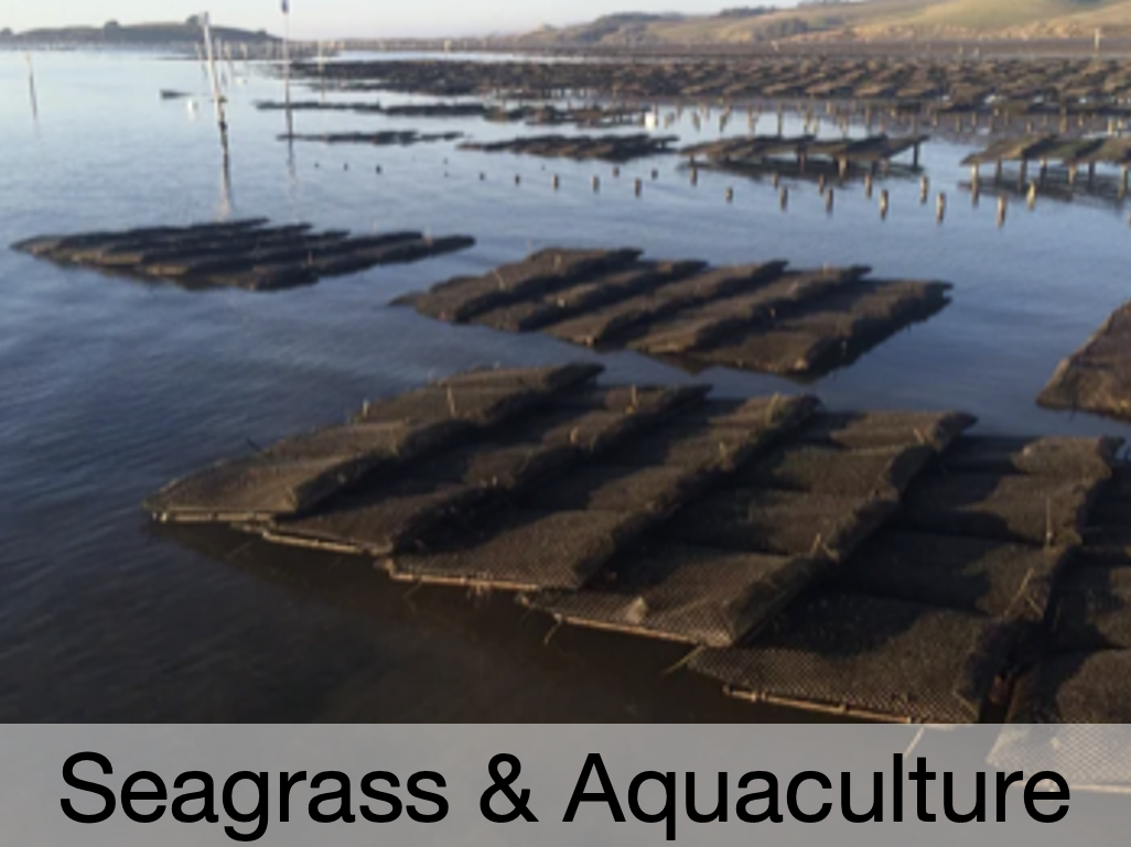 Screenshot 2025-09-23 at 1.26.17 PM.png