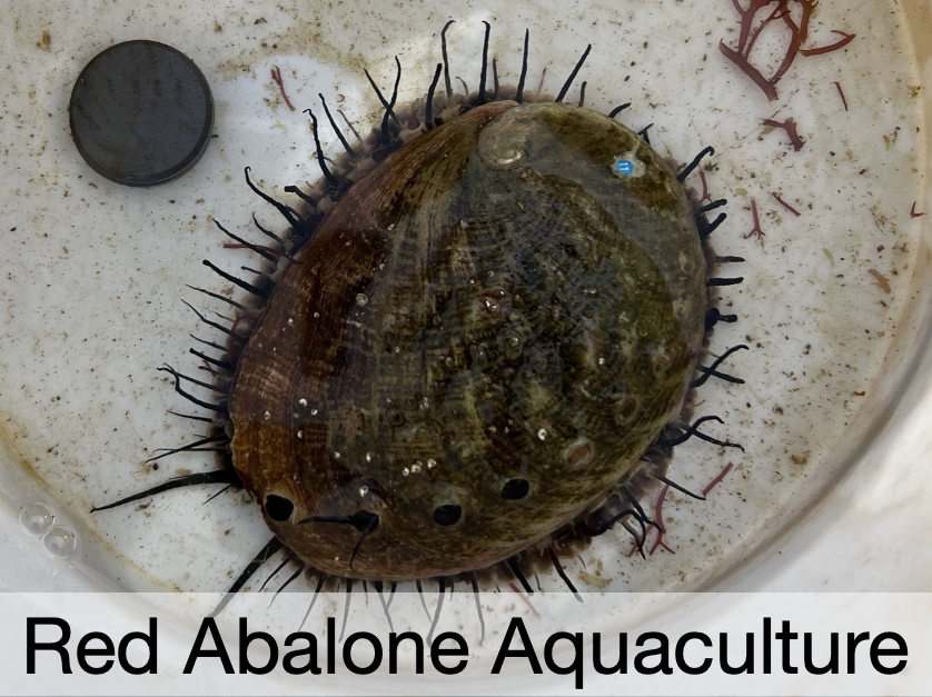 Screenshot 2025-09-23 at 1.40.51 PM.png