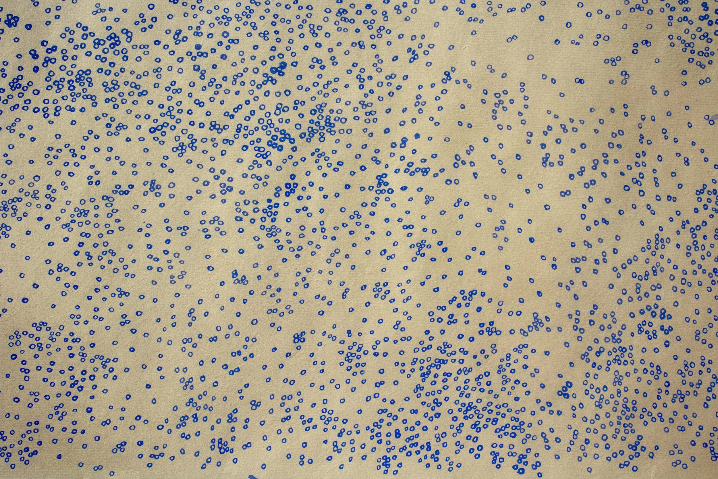 untitled circle drawing II (detail)