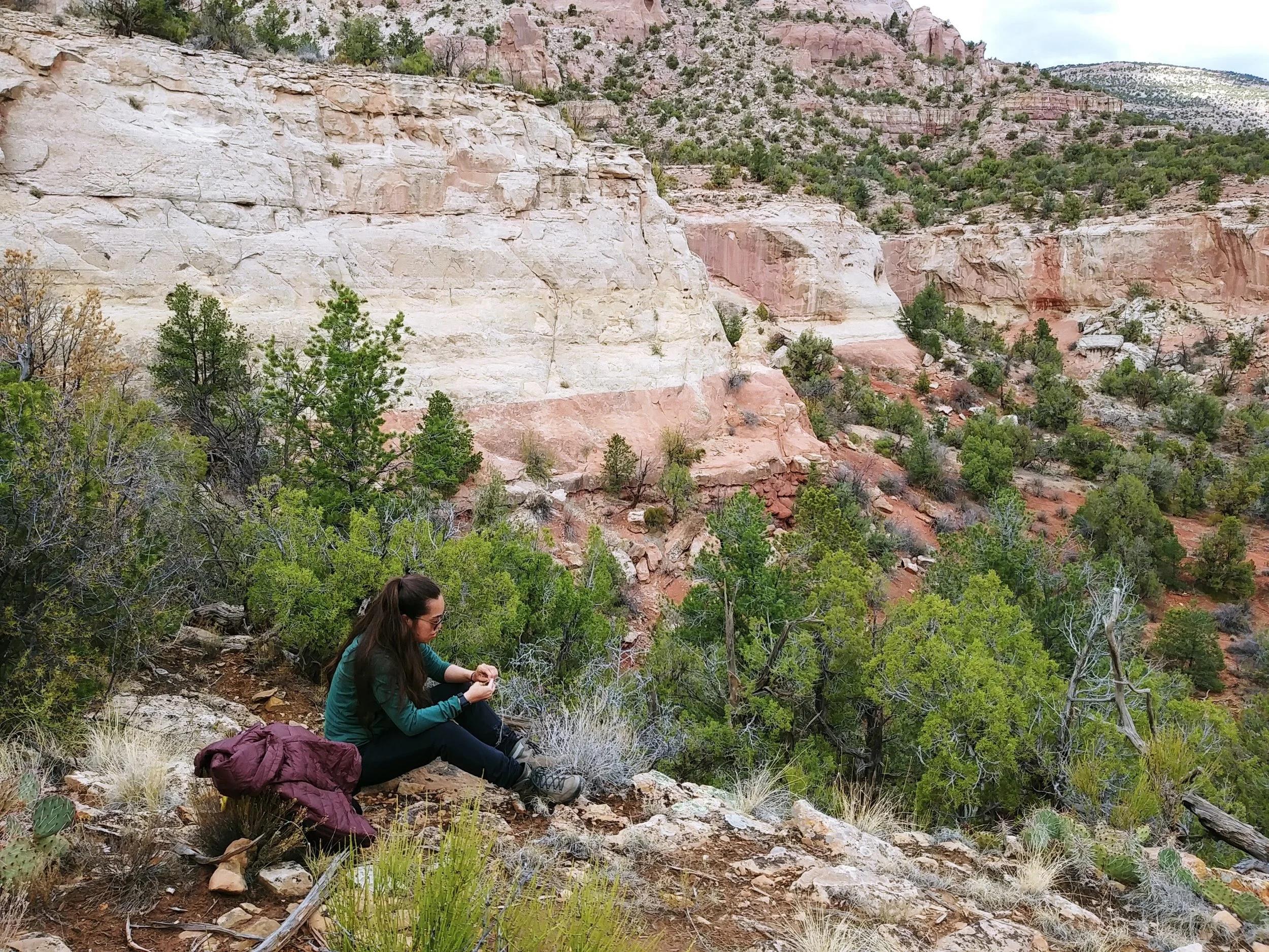 Learning to make cordage with yucca as my teacher. Canyons of the Ancients, CO.