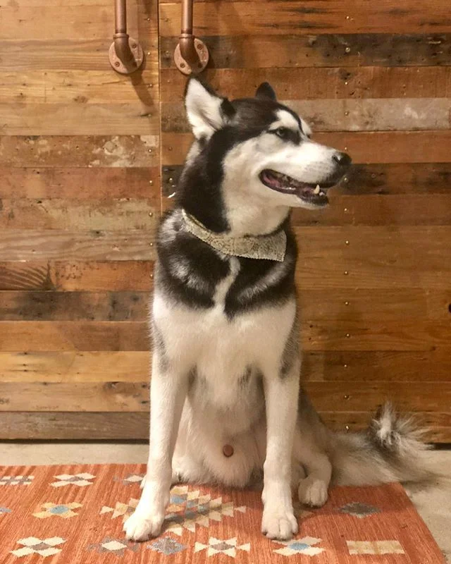What’s it like to have a spa day? Just ask Kevin. Feeling fresh for the weekend! Happy weekend everyone!