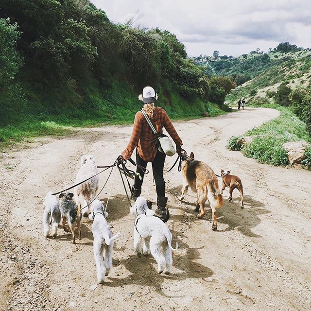 @denurbandogretreat
・・・
Happy Mother&rsquo;s Day to our DEN mother Lindsay, and to all fur and human mama&rsquo;s near and far. We see you, we need you, we have so much gratitude for your presence. Shoutout to the mother of all mothers, Mama Earth 🌏