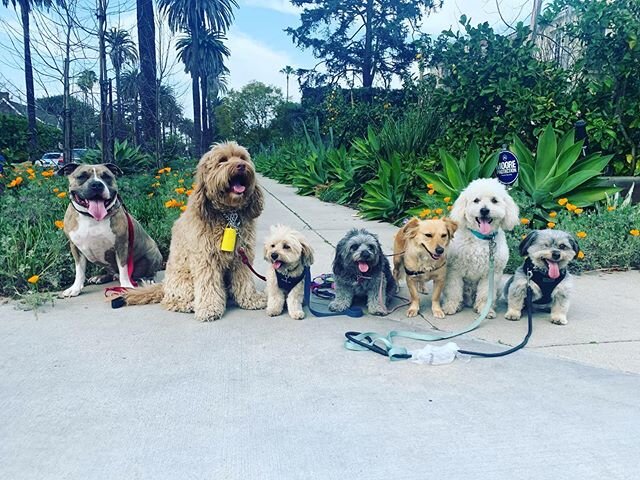 Hancock park crew helping Captain to trust in making new friends !