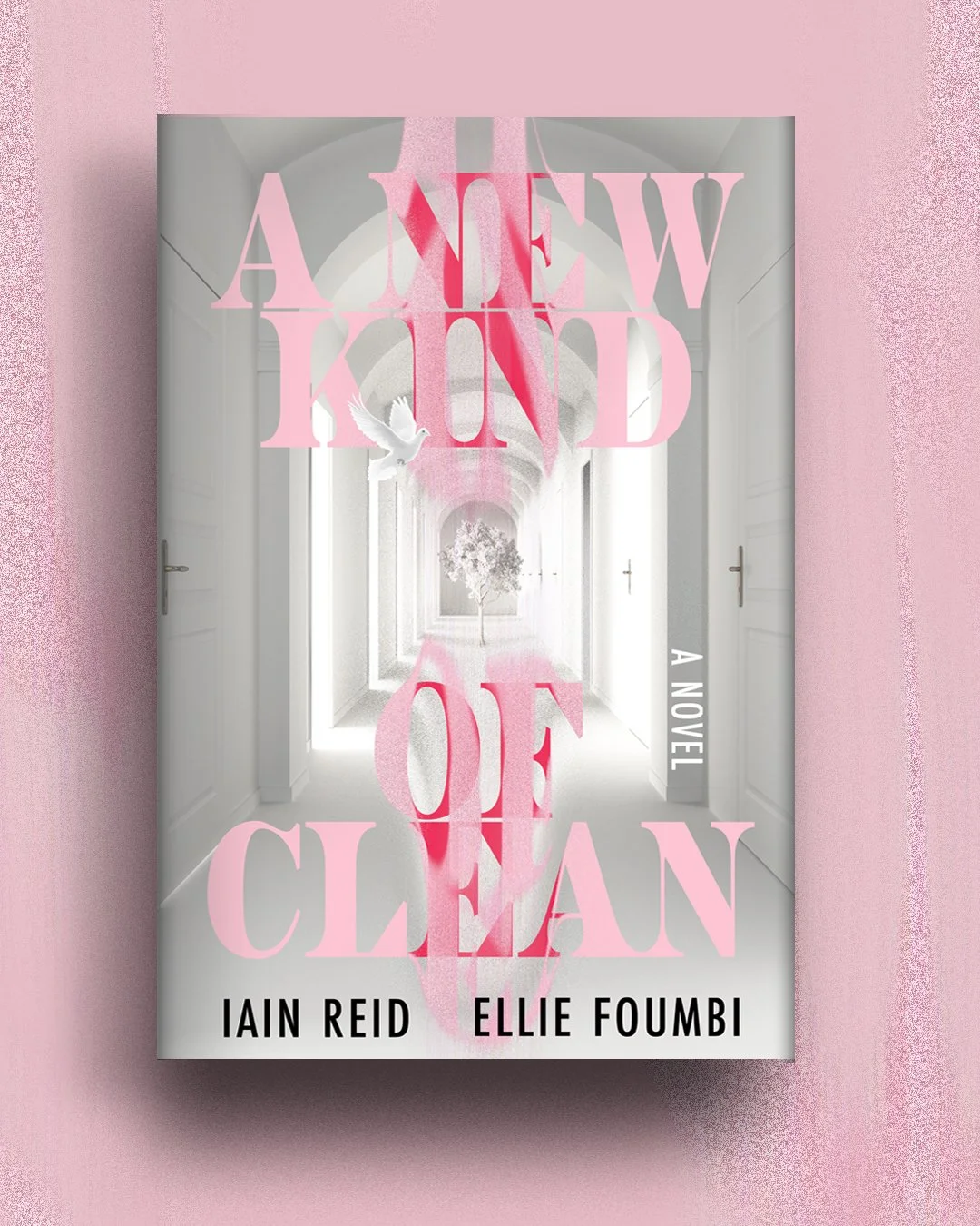 New novel co-written with Iain Reid