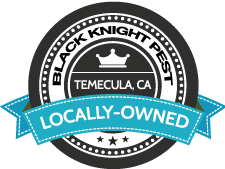 local.png