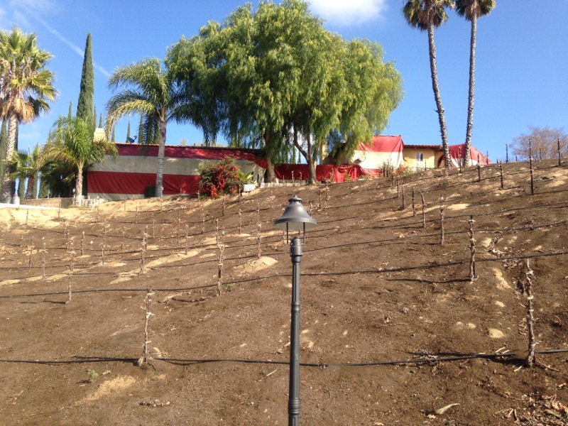 Heat treatment being done at Europa Winery in Temecula Wine Country.