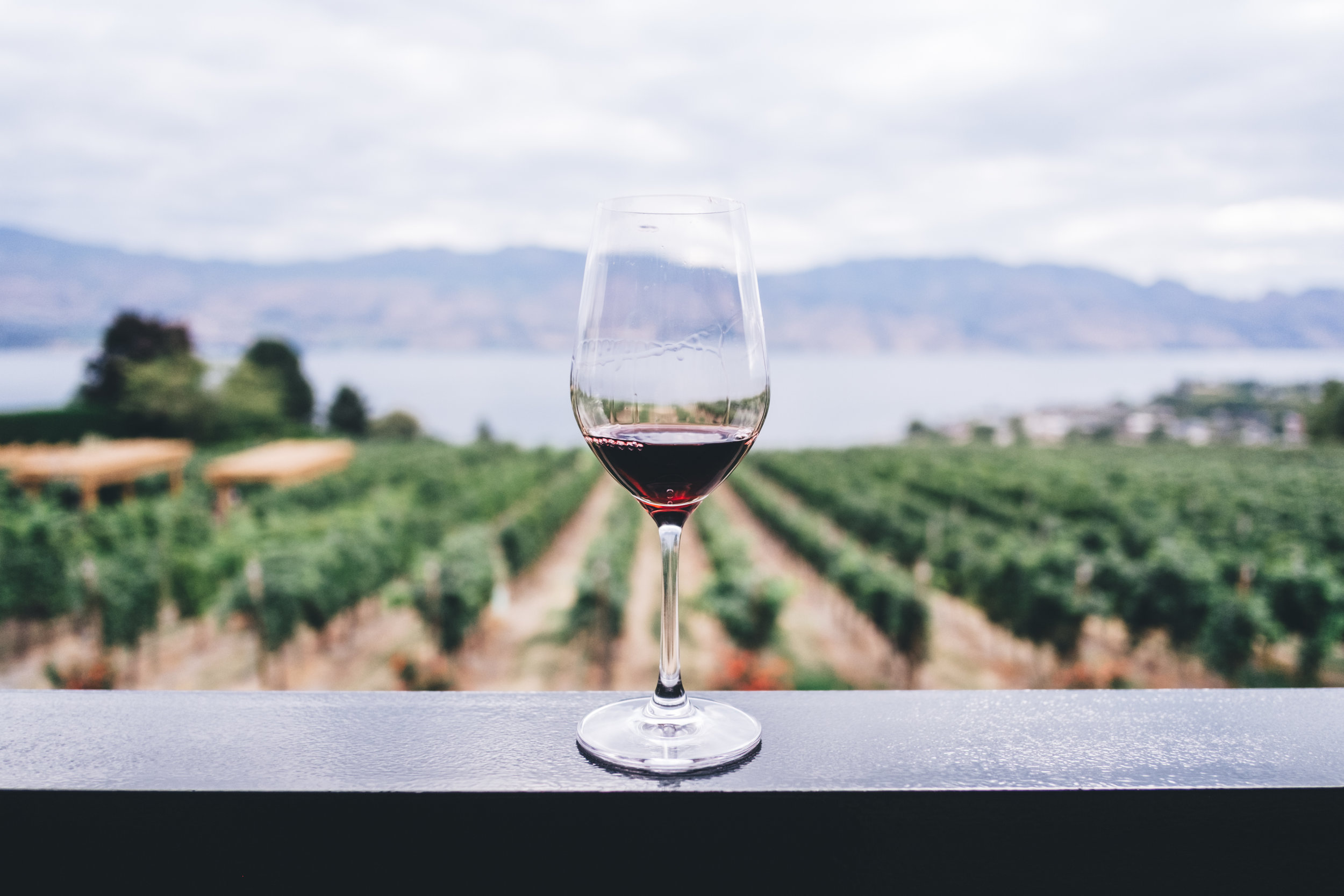 Pest Control for Wineries