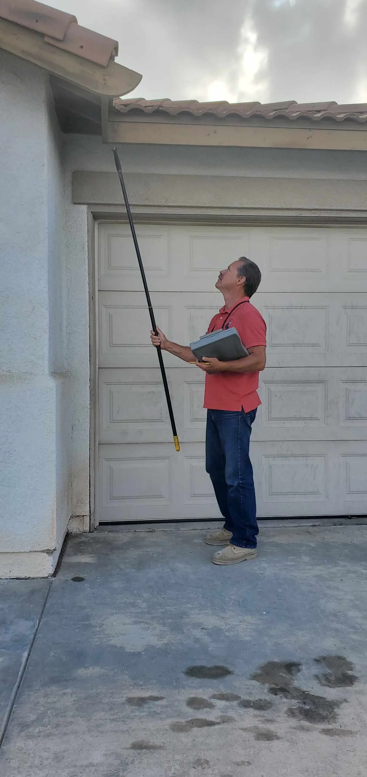 Termite Inspection Importance