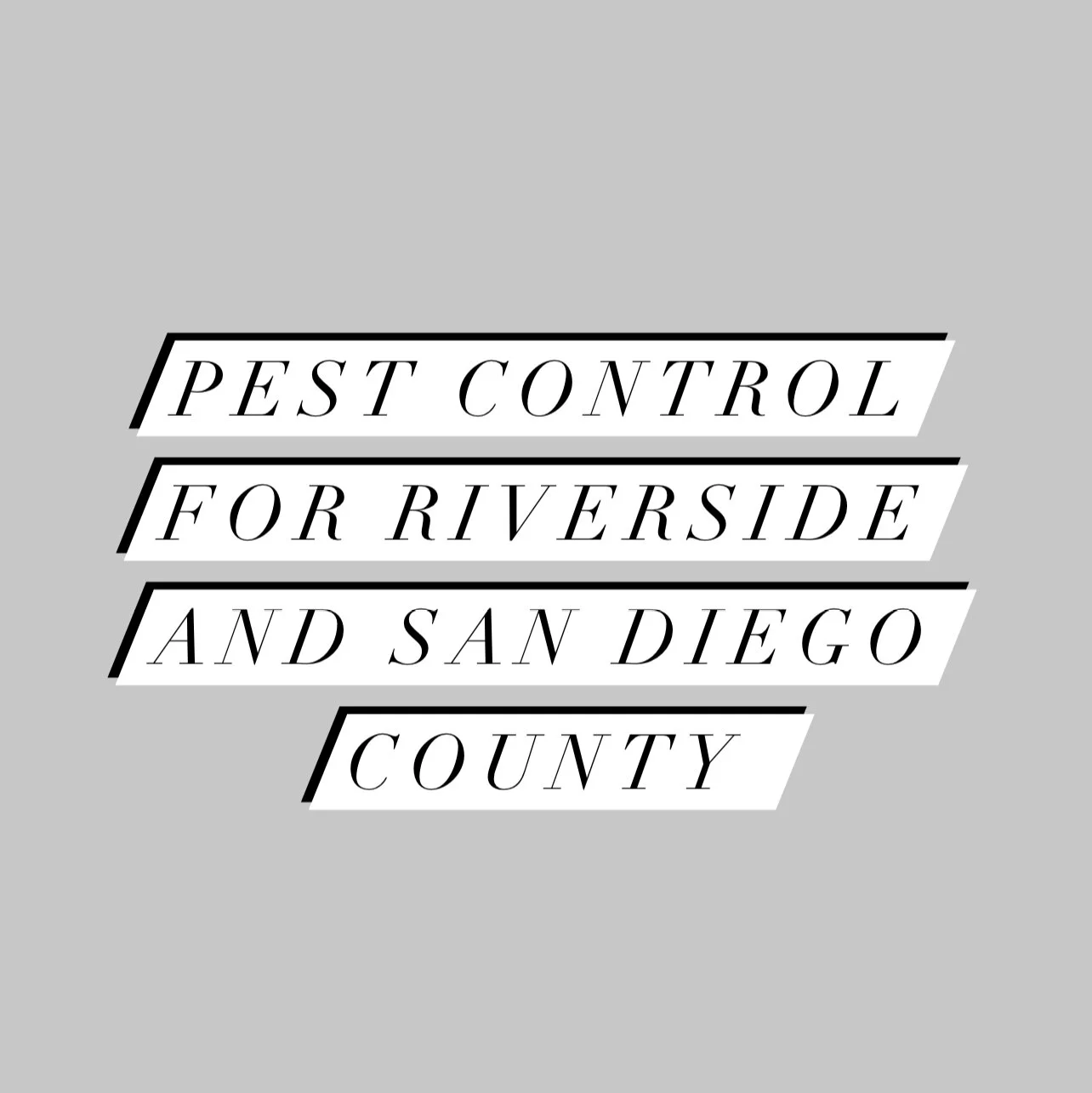 Professional Pest Control Service