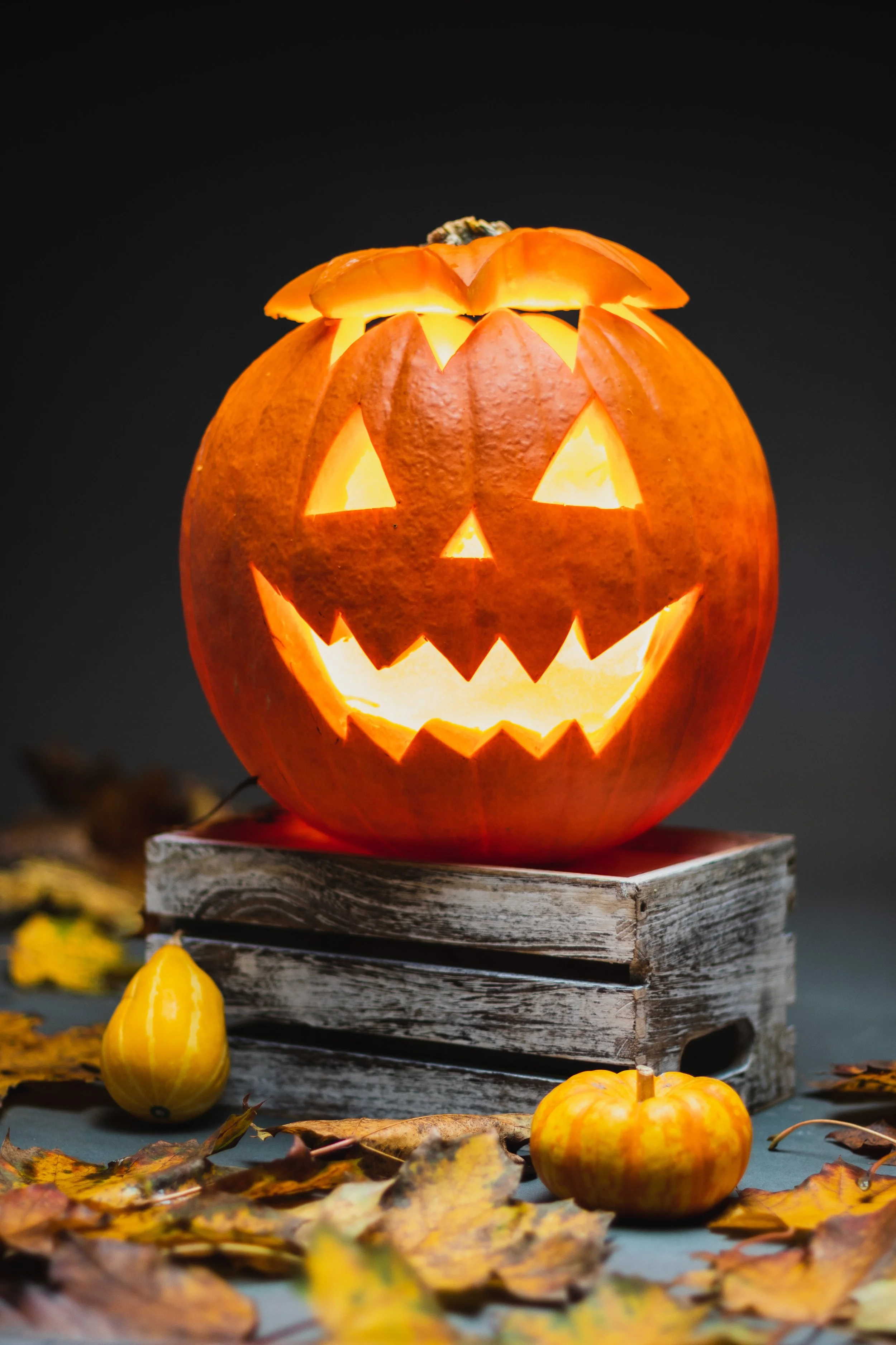 Halloween and Pest 