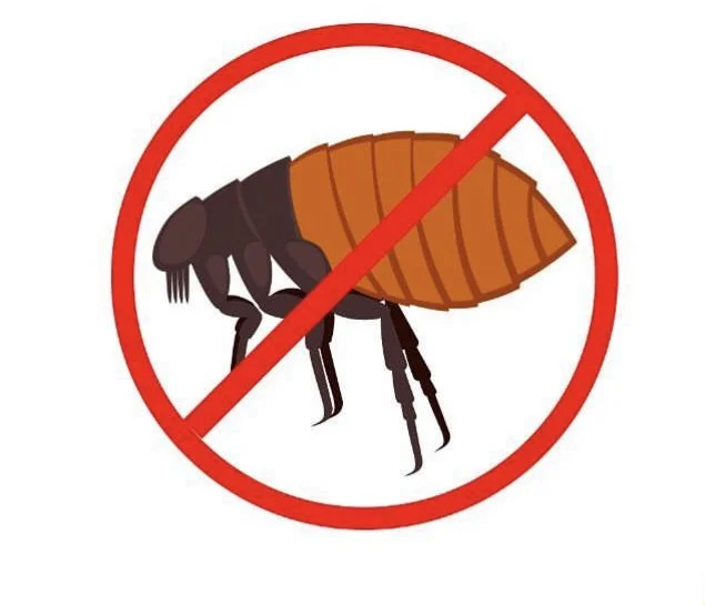 Flea Control