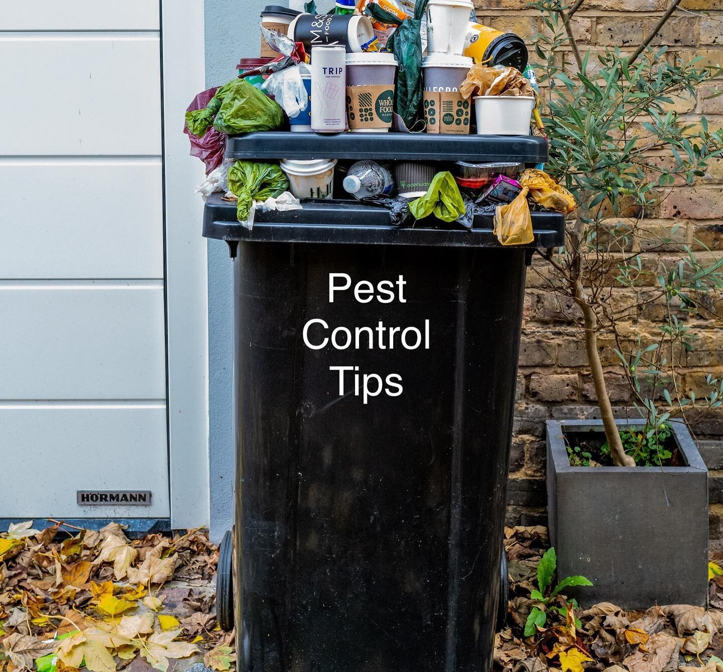 TOP PEST PREVENTION TIP

Stay tidy!
Simple as that. Keep things clean. 🧼 

* Take out trash regularly 
* Wipe up counter tops 
* Vacuum 
* Sweep 🧹 and mop

This goes for inside your garage also, as it&rsquo;s an extension of your home. Keep the gar