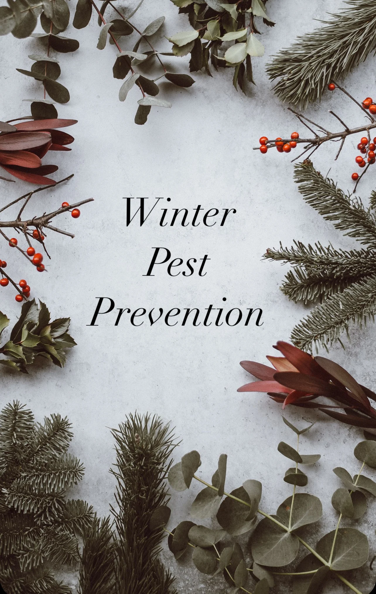 Winter Pest Control