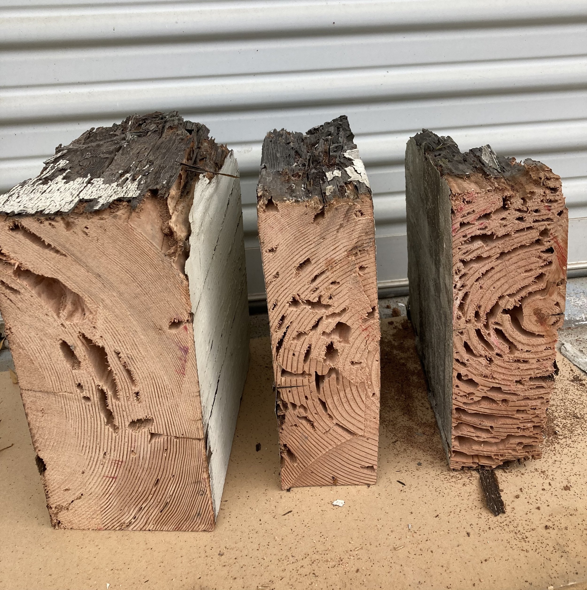 Drywood discount