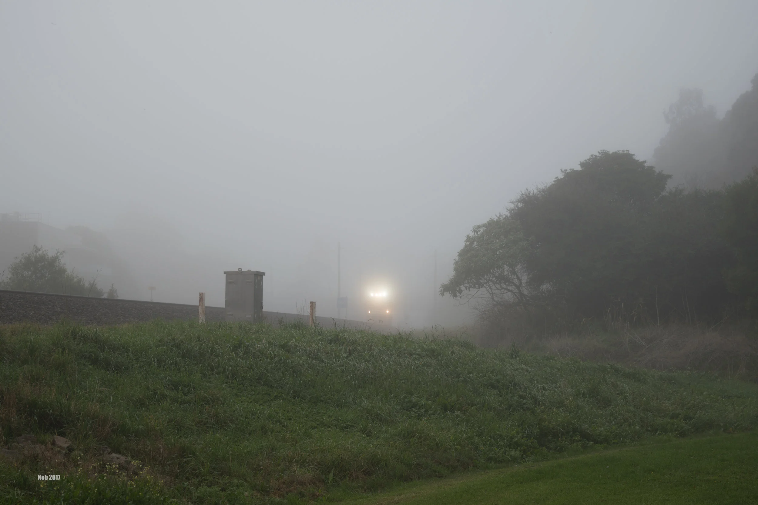 Rushing Through The Mist