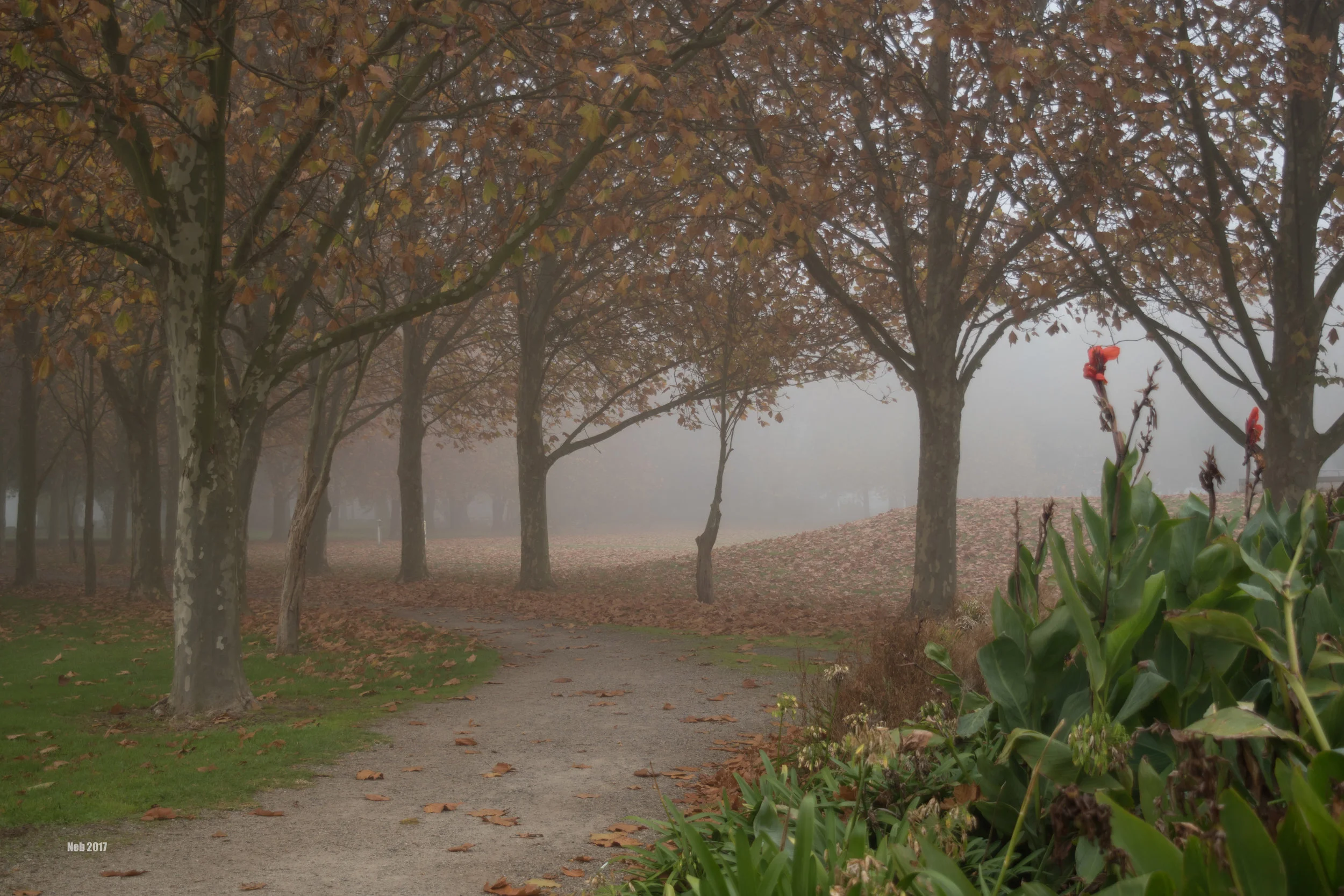 Last Shades of Autumn 1