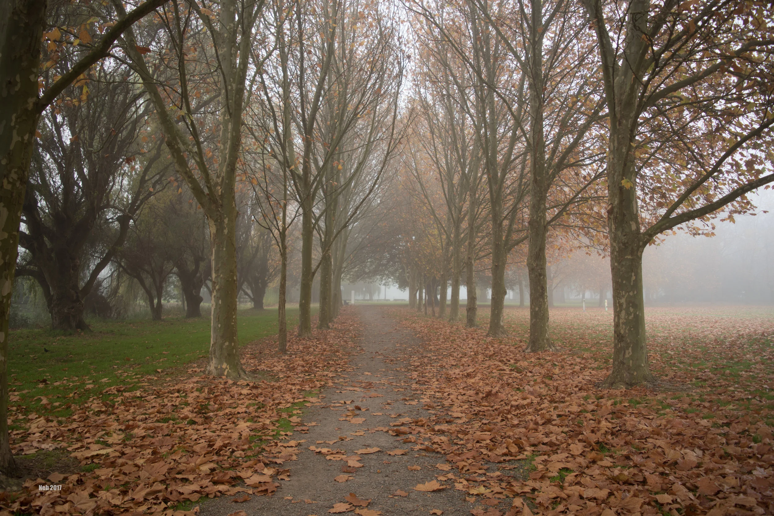 Last Shades of Autumn 2
