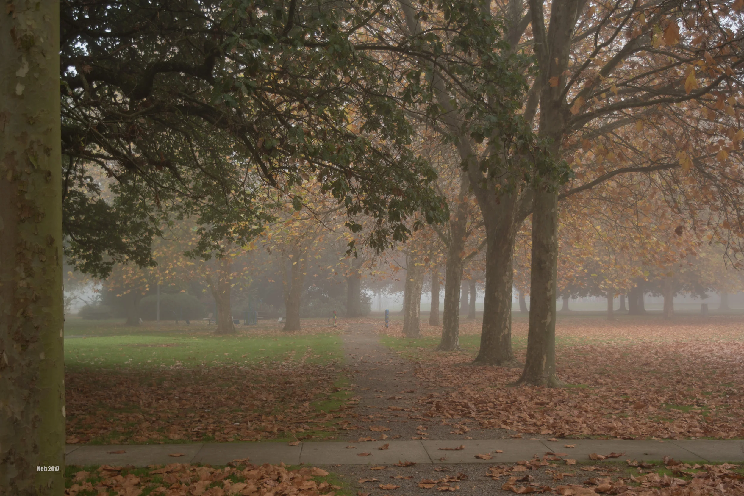 Last Shades of Autumn 4