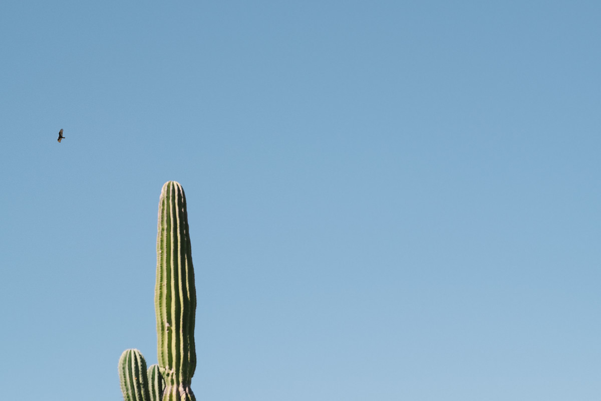 nat-locky-cabo-san-lucas-mexican-destination-wedding-24.jpg