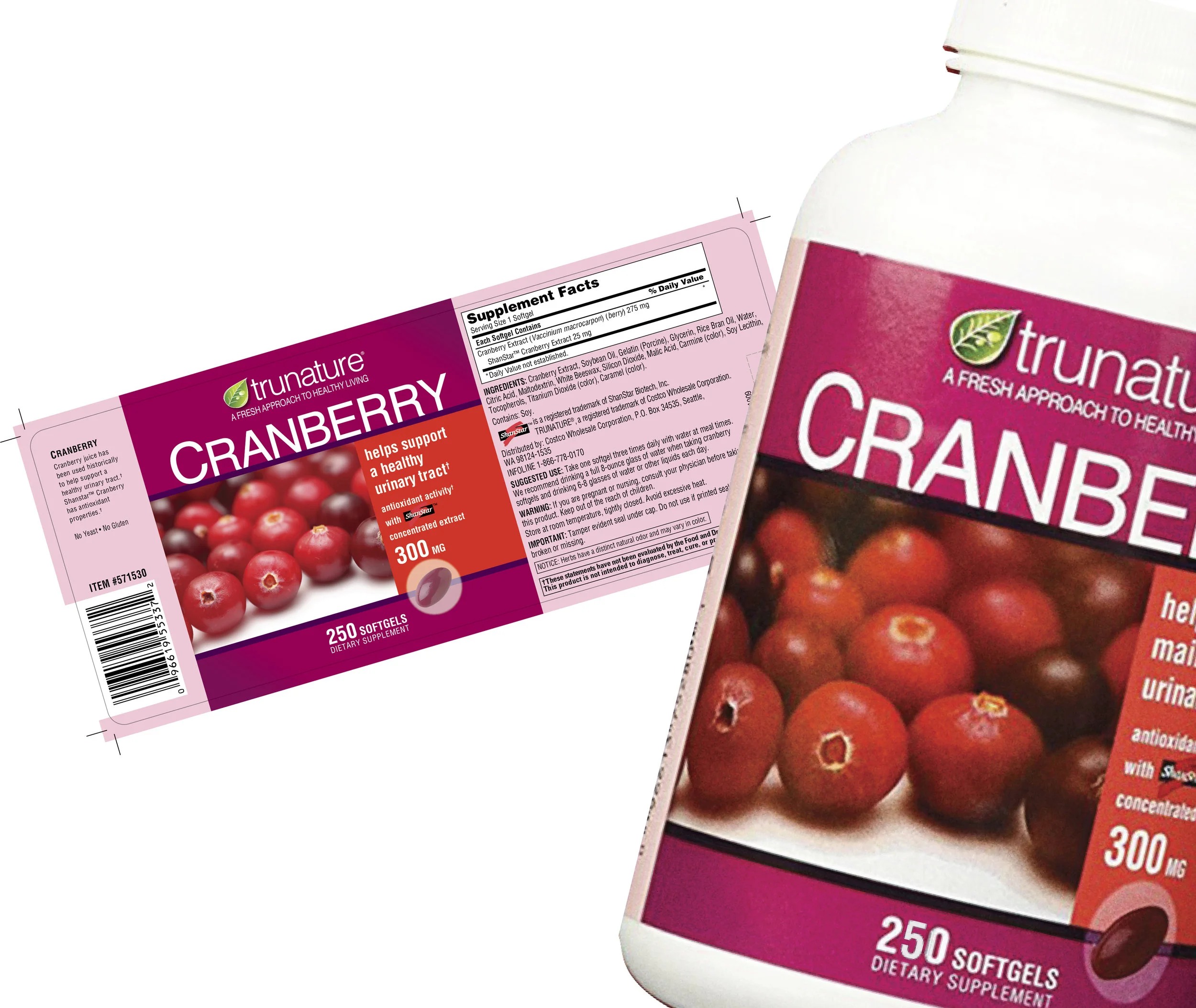 TN 12523 L201 Cranberry 5A009_MECH_Port_Splash.jpg