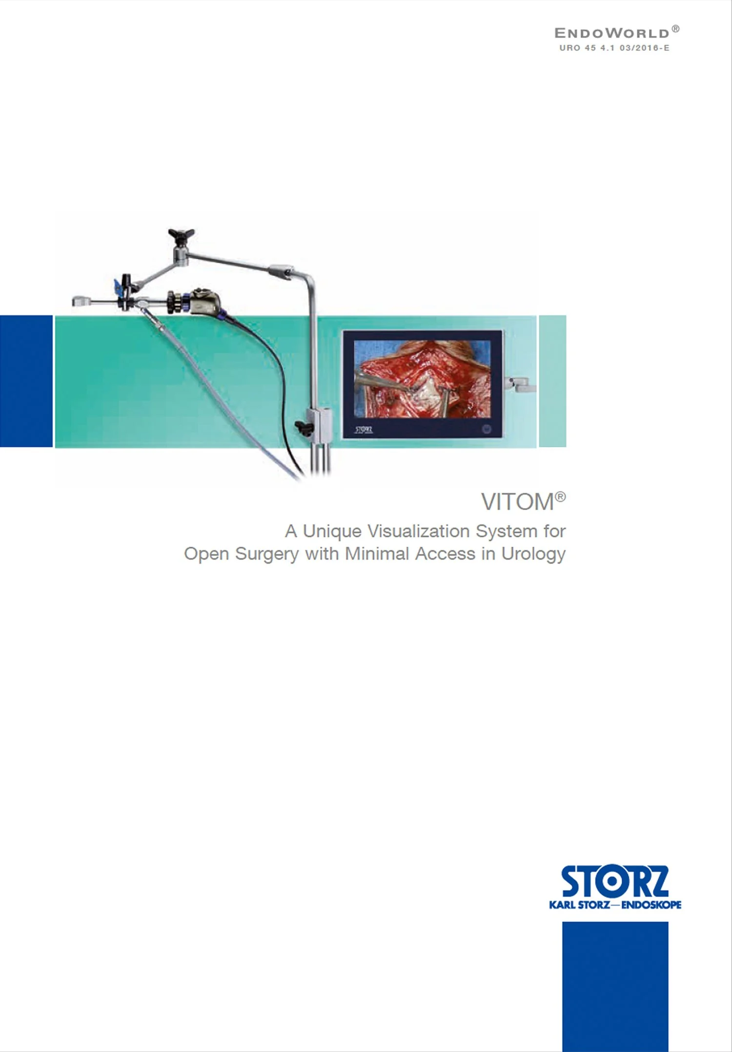 Storz_EndoworldCover2.jpg