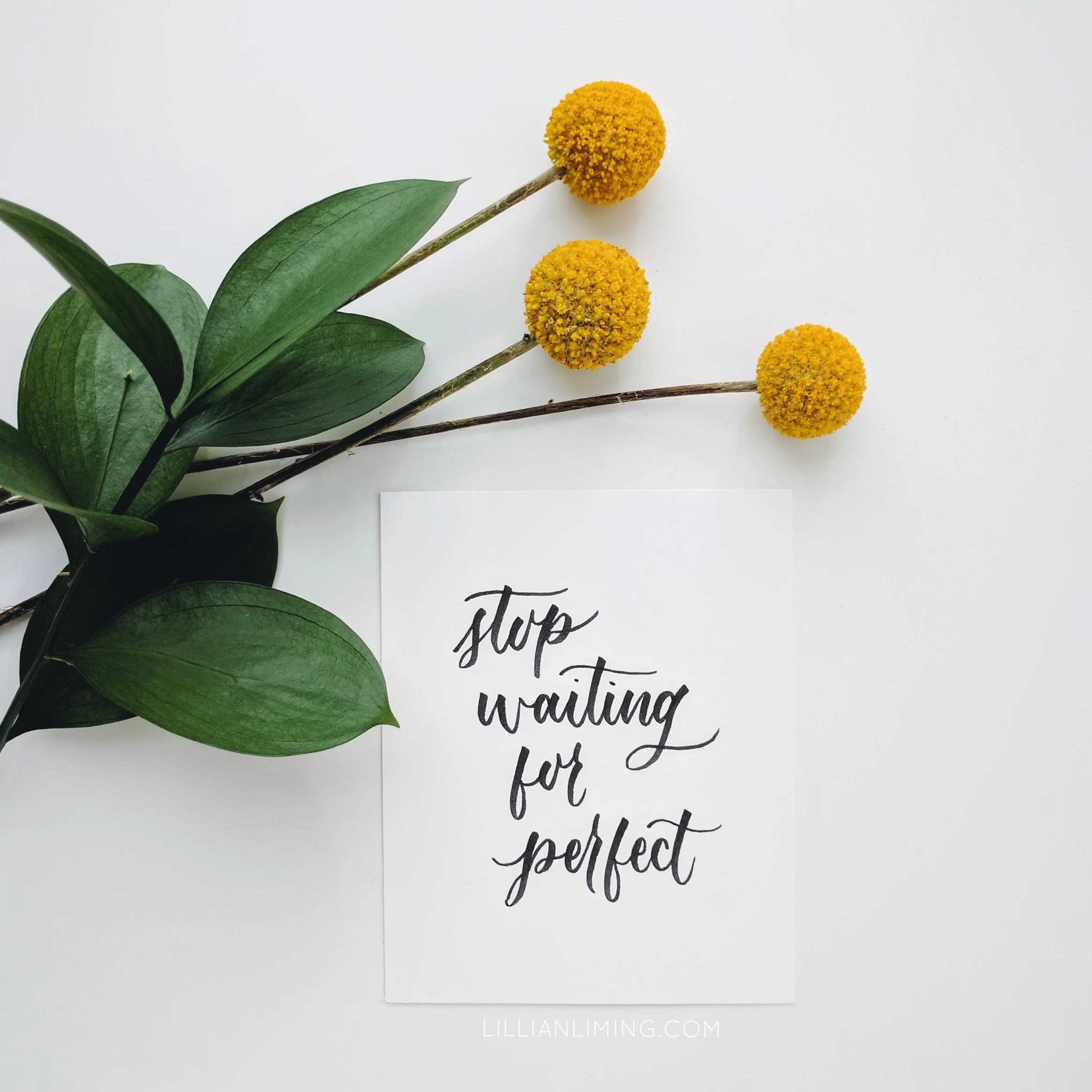 stop-waiting-for-perfect-florals.jpg