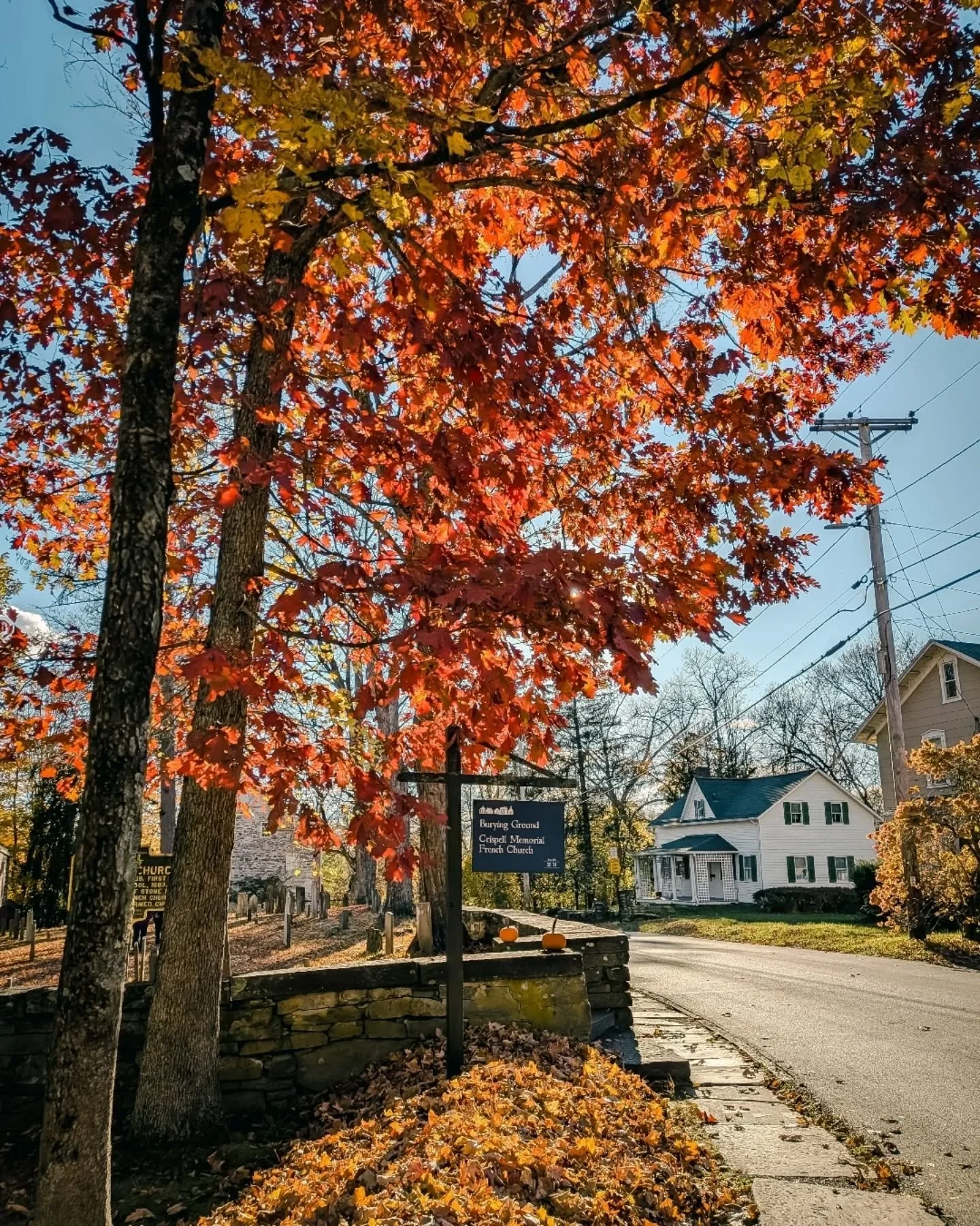 o c t o b e r 🍂🍁🐛🧣

it's been a month of transition, winding down the garden, embracing the shorter days, still seeking out and appreciating beauty in the slow-down 💛

new paltz, hudson valley, fall in new york