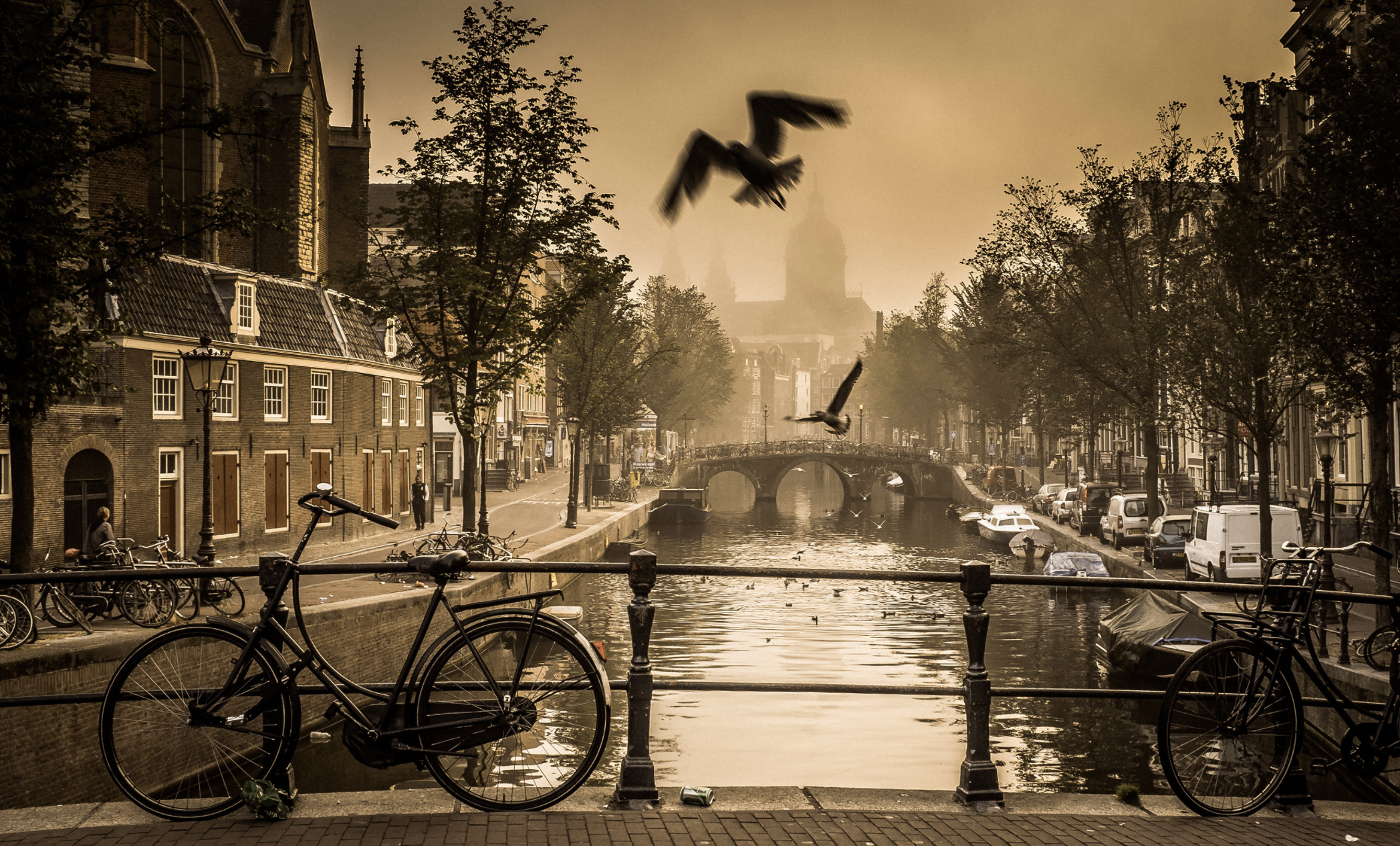 Yellow light district   