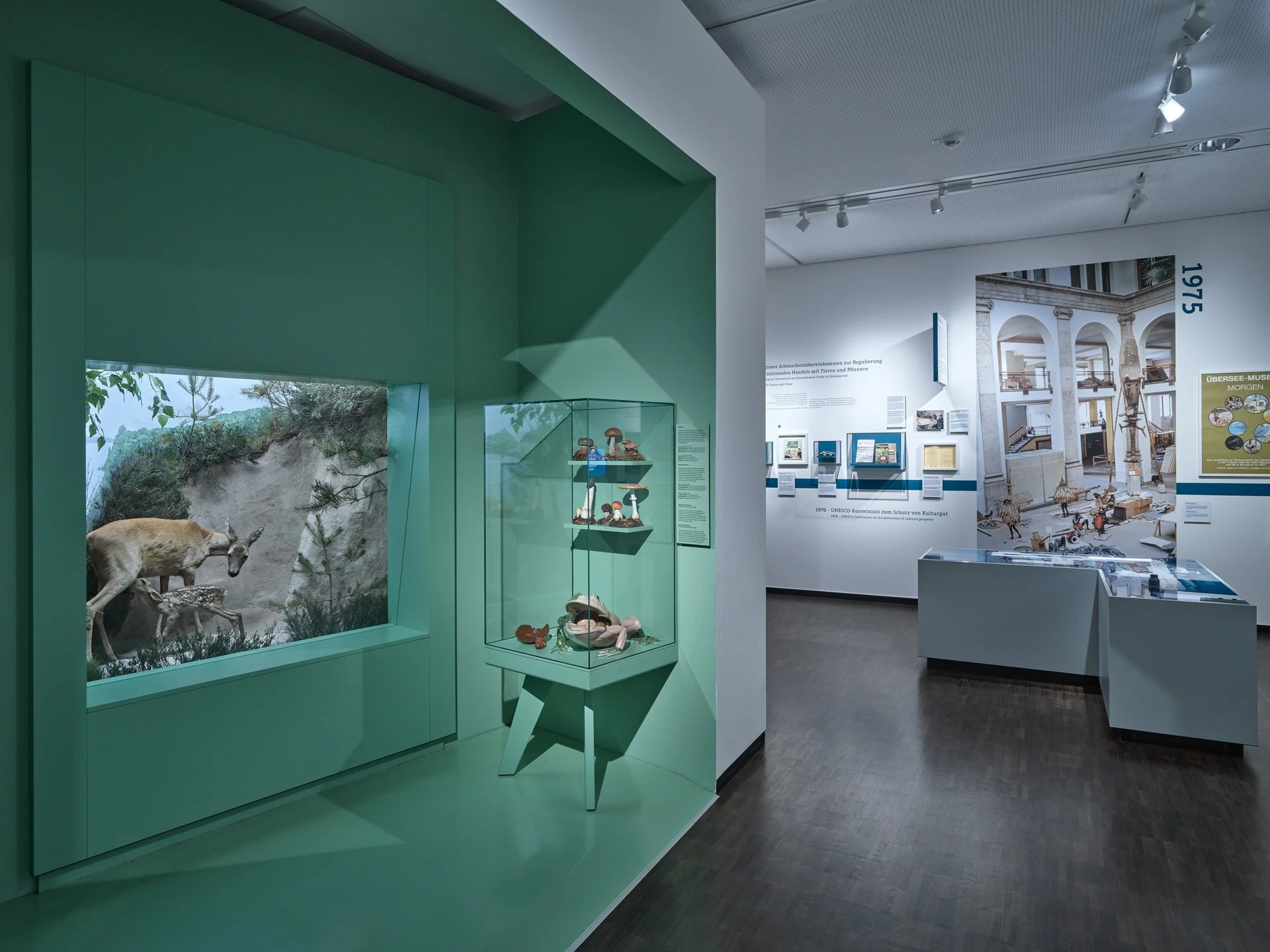 „Spurensuche – Geschichte eines Museums“