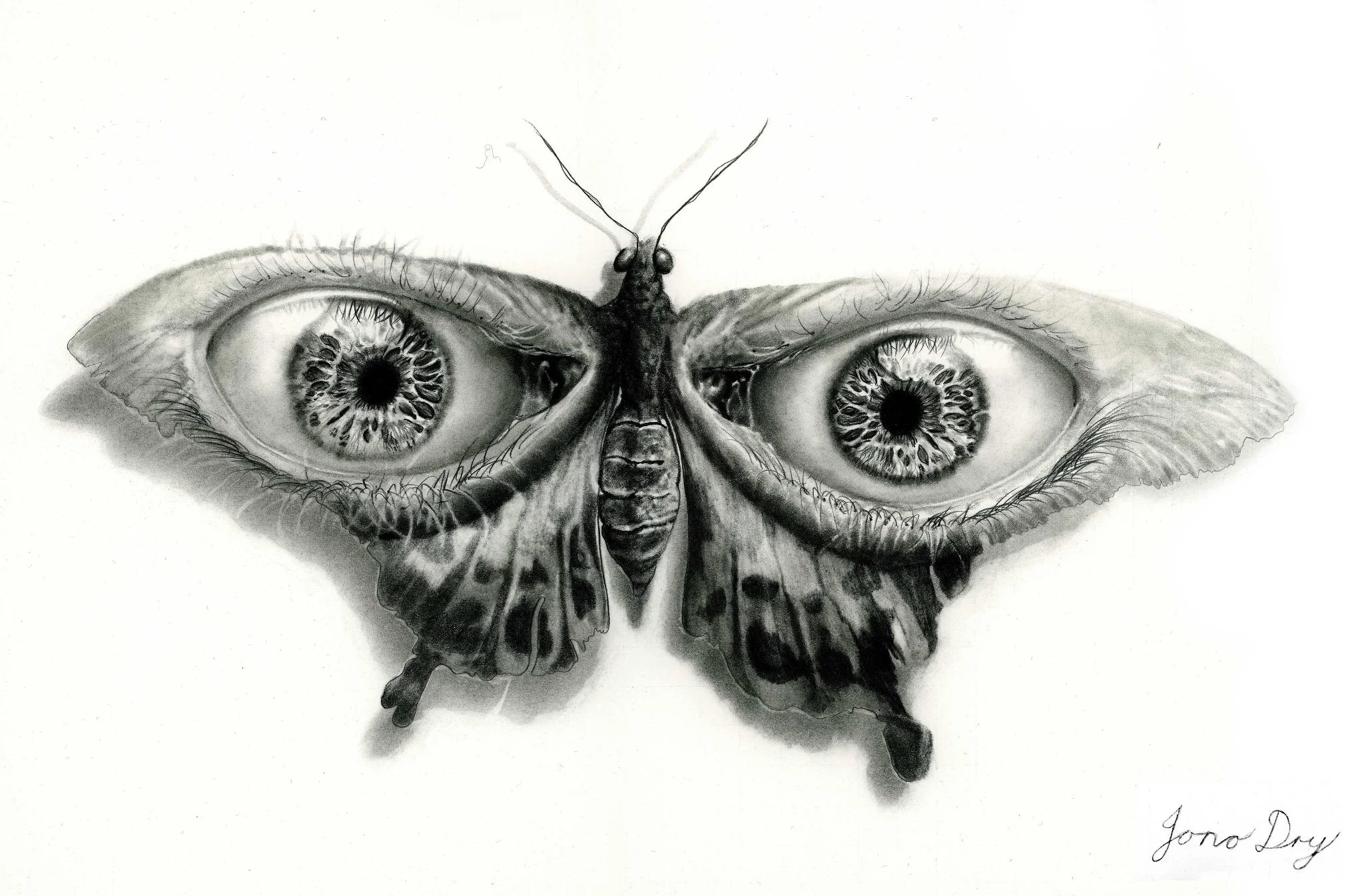Prey