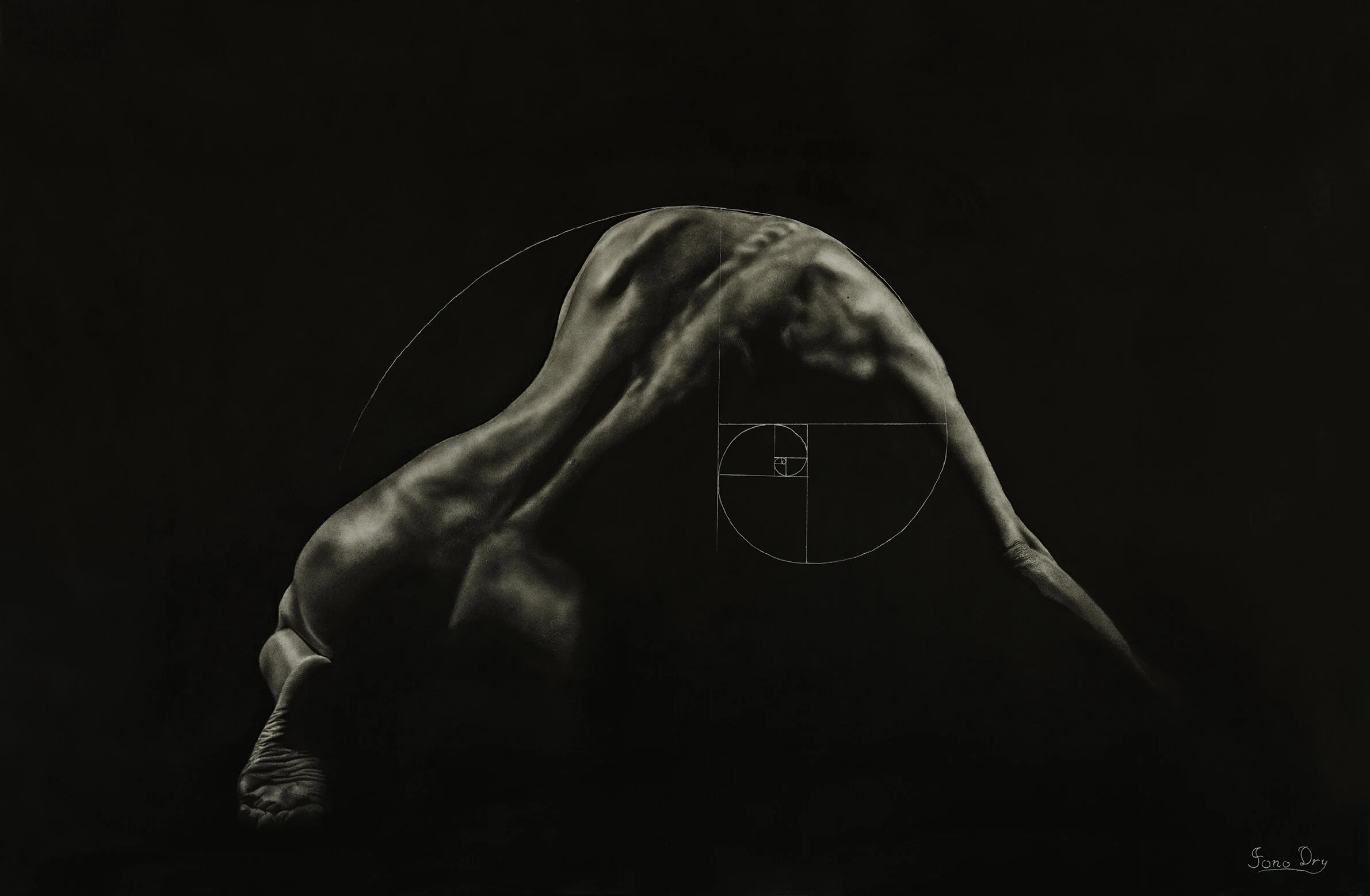 Sacred Study web res.jpg