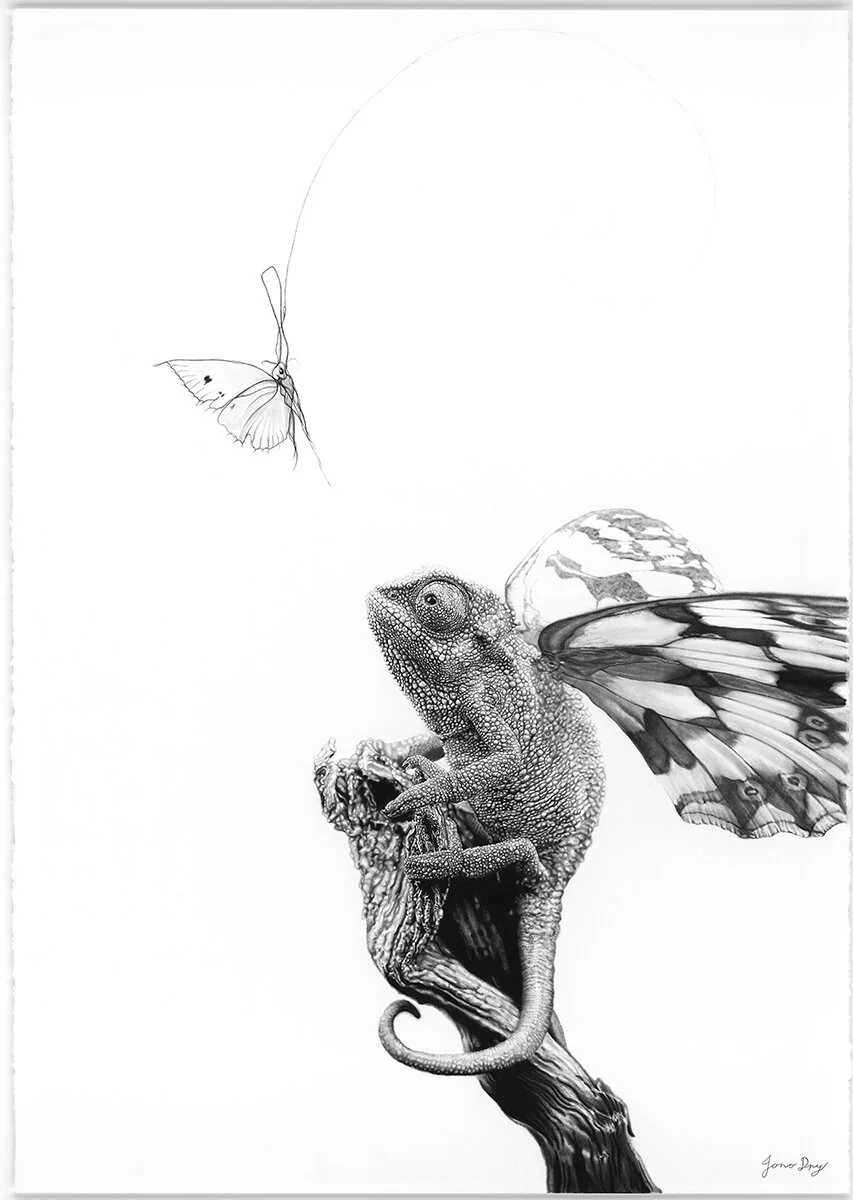 Jono Dry Art Expectation -Adaptation.jpg