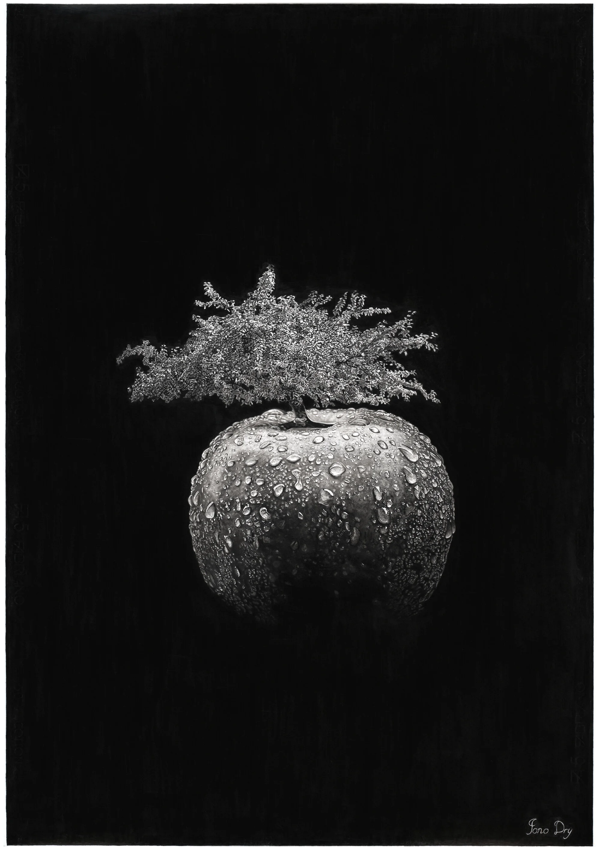 The Apple web res.jpg
