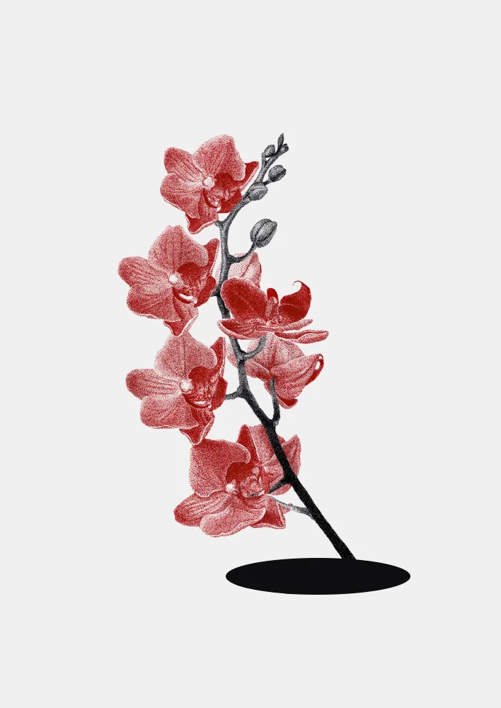 flor_1200.jpg
