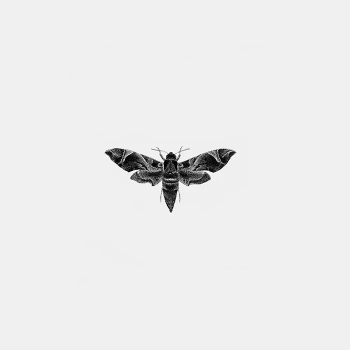 INSECT_03.jpg