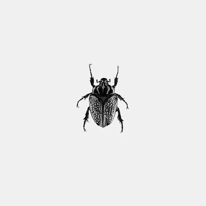 INSECT_10.jpg