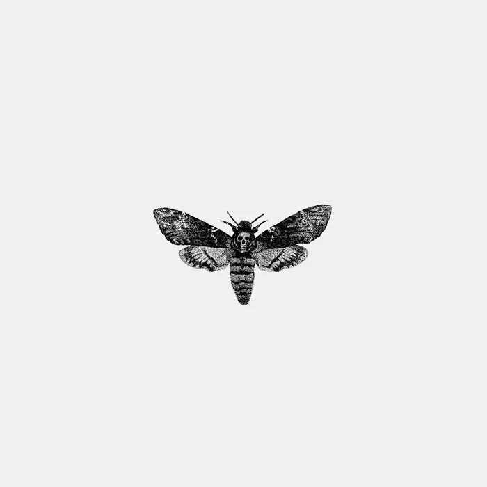 INSECT_12.jpg