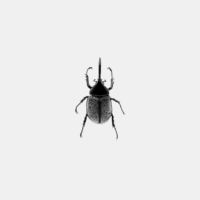 INSECT_14.jpg