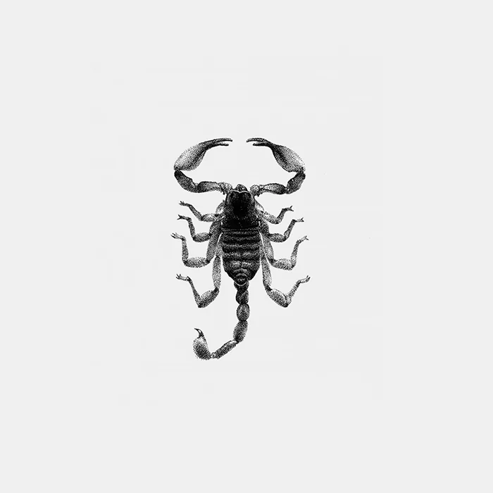 INSECT_04.jpg