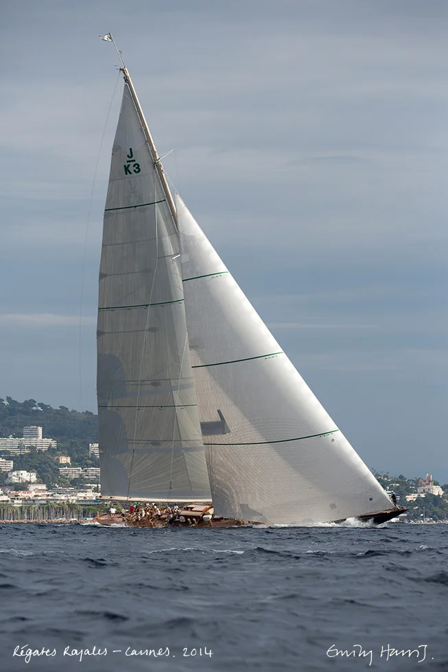 AV6A3560.jpg