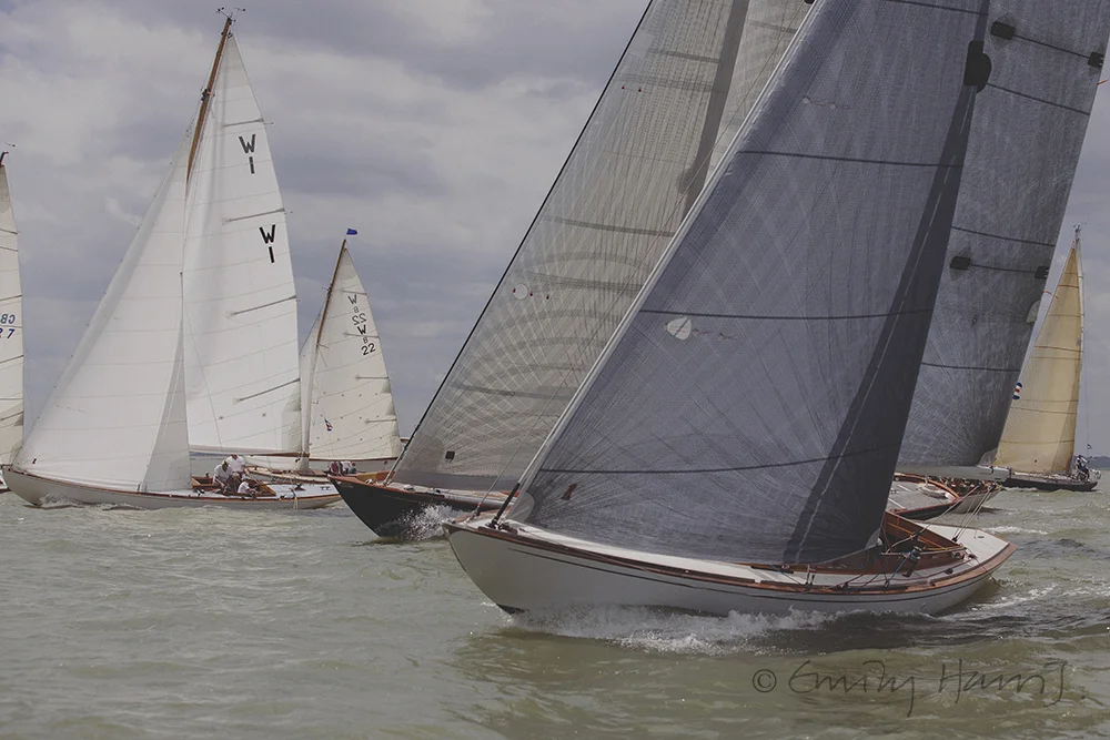 OF6B4902.jpg