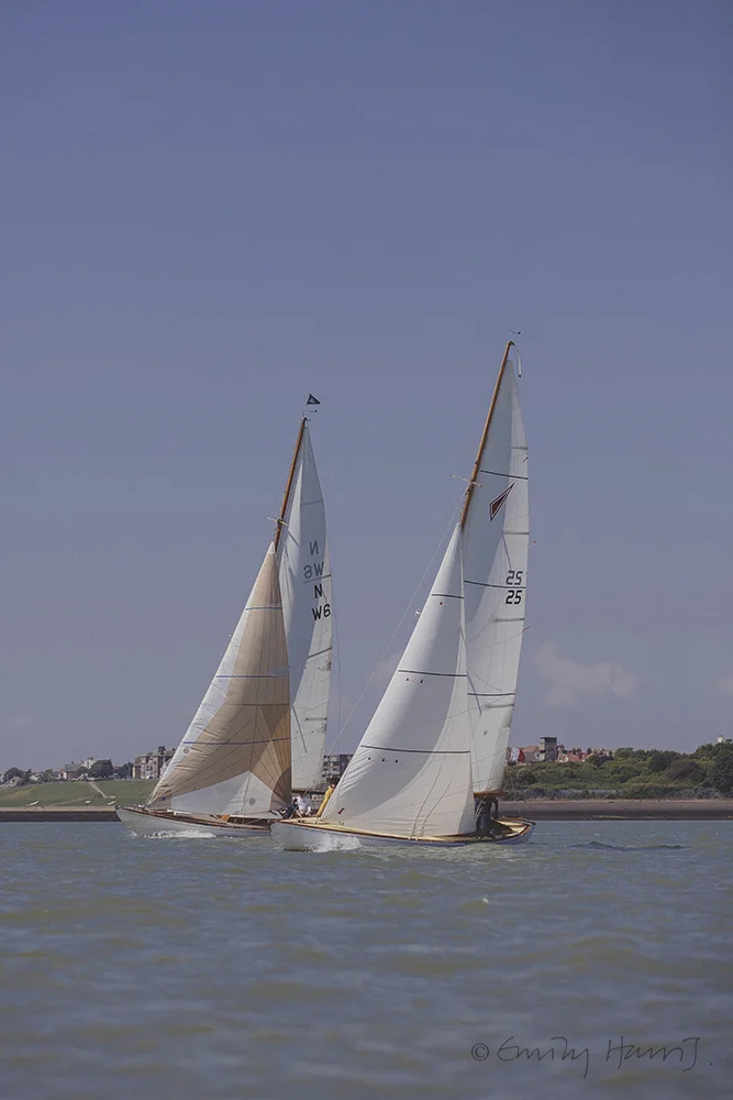 OF6B5555.jpg